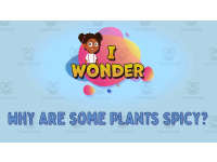 Product image #0
