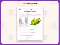 Illinois Word Search Worksheet – 3rd Grade States Practice preview 2