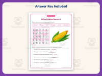 Illinois Word Search Worksheet – 3rd Grade States Practice preview 3