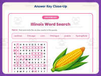 Illinois Word Search Worksheet – 3rd Grade States Practice preview 7