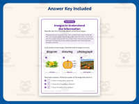Images to Understand the Information Worksheet – 2nd Grade Practice preview 3
