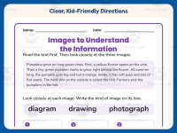 Images to Understand the Information Worksheet – 2nd Grade Practice preview 4