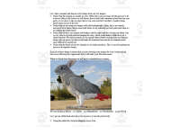 Product image #1