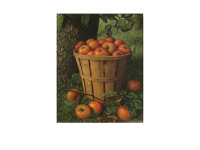 Product image #5