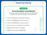 Including Punctuation Worksheet – 2nd Grade Grammar Practice preview 7