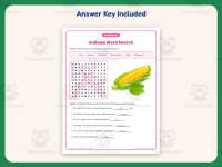 Indiana Word Search Worksheet – 1st-6th Grade States Practice preview 3