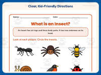 Insect Classification Worksheet – 2nd Grade Animals & Insects Practice preview 4