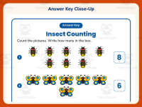 Insect Counting Numbers 6 – 10 Worksheet – Kindergarten Insects preview 7