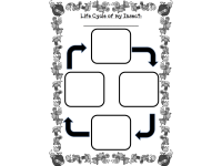 Product image #5