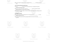 Into the Inferno Netflix Volcano Worksheet & Key + Google Forms preview 4