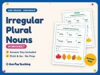 Irregular Plural Nouns Worksheet – 2nd Grade Grammar Practice preview