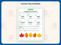 Irregular Plural Nouns Worksheet – 2nd Grade Grammar Practice preview 3