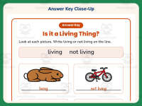 Is it a Living Thing Worksheet – 1st Grade Practice + Answer Key preview 7