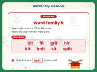 IT Word Family Worksheet – 1st Grade Word Families Practice preview 7