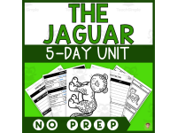 Product image #0