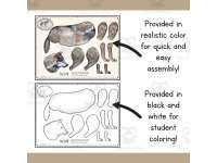 Product image #1
