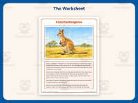 Kara the Kangaroo Reading Comprehension Worksheet – 2nd Grade Animals preview 2