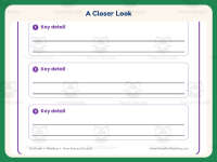 Key Details Graphic Organizer Worksheet – 1st Grade Main Idea Practice preview 3