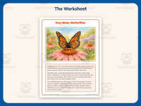 Key Ideas Butterflies Worksheet – 2nd Grade Insects & Life Cycle preview 2