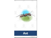 Product image #3