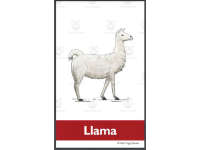 Product image #2