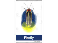 Product image #2