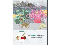 Product image #1