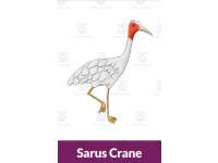 Product image #2