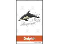 Product image #2