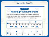 Knowing Your Number Line Worksheet – 2nd Grade Number Lines Practice preview 7