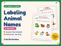Labeling Animal Names Worksheet – 1st Grade Animals Practice preview