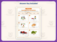 Labeling Force and Motion Worksheet – 3rd Grade Energy & Machines preview 3