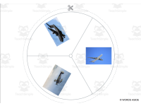 Product image #1
