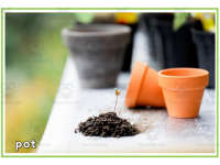 Product image #1