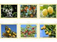 Product image #2