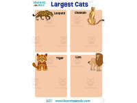 Product image #0