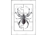 Product image #2
