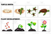 Product image #1
