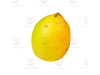 Product image #3