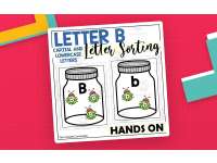 Letter B Capital and Lowercase Letter Sorting preview