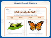 Life Cycle of a Butterfly Worksheet – 2nd Grade Animals & Insects preview 4
