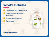 Life Cycle of a Butterfly Worksheet – 2nd Grade Animals & Insects preview 5