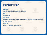Life Cycle of a Butterfly Worksheet – 2nd Grade Animals & Insects preview 6