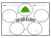 Product image #0