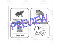 Product image #2