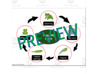 Product image #4