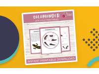 Life Cycle of a Salamander Worksheet- Amphibian Science Unit Study preview