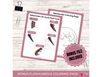 Product image #3