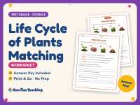 Life Cycle of Plants Matching Worksheet – 3rd Grade Science Practice preview