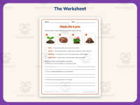 Life Cycle of Plants Matching Worksheet – 3rd Grade Science Practice preview 2